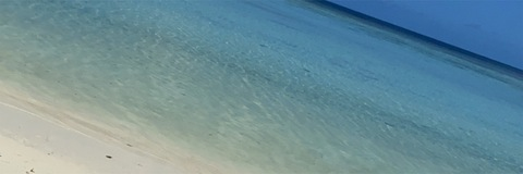 Header of thatgudboy