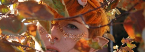 Header of thatwildemountpixie