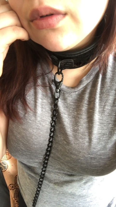 Header of thebrattykitty