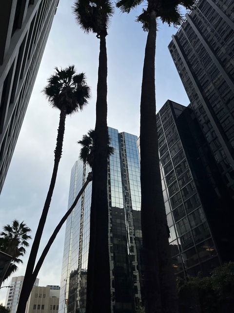 Header of theeonlynicole