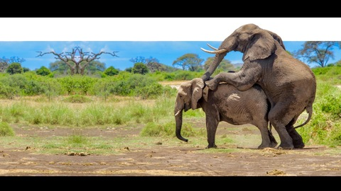 Header of thefarmhouse