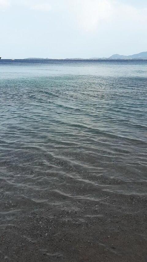 Header of themilamoon