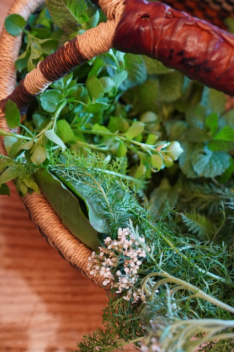 Header of thenakednomad