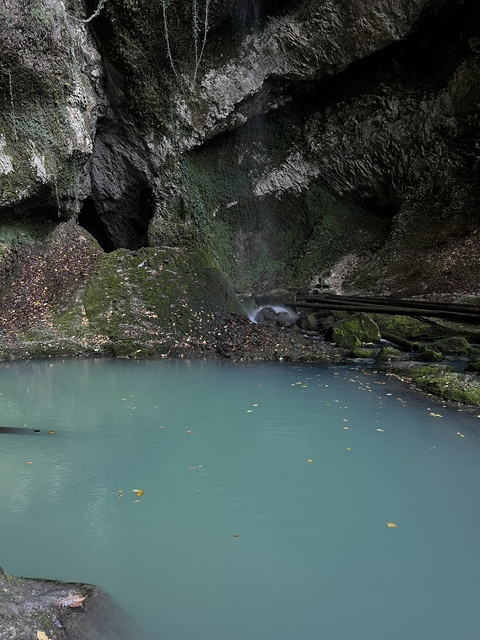 Header of tomaefremova