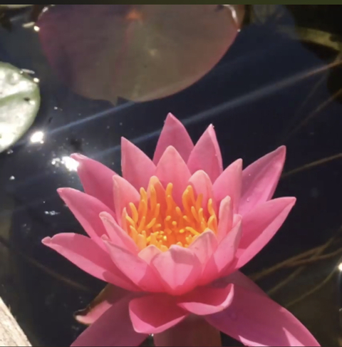 Header of toroidalflow