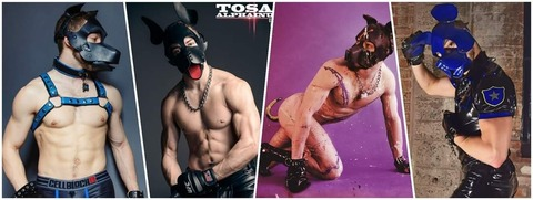 Header of tosaalphainu