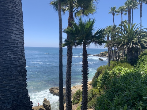 Header of u119542590