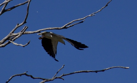 Header of u141590071