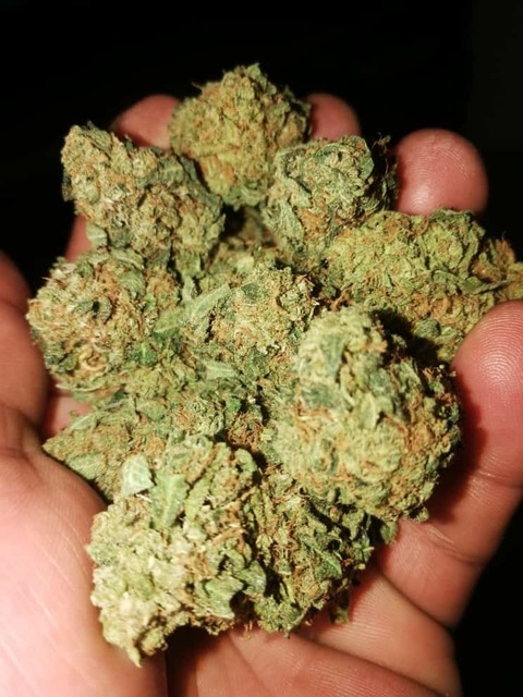 Header of u146931230