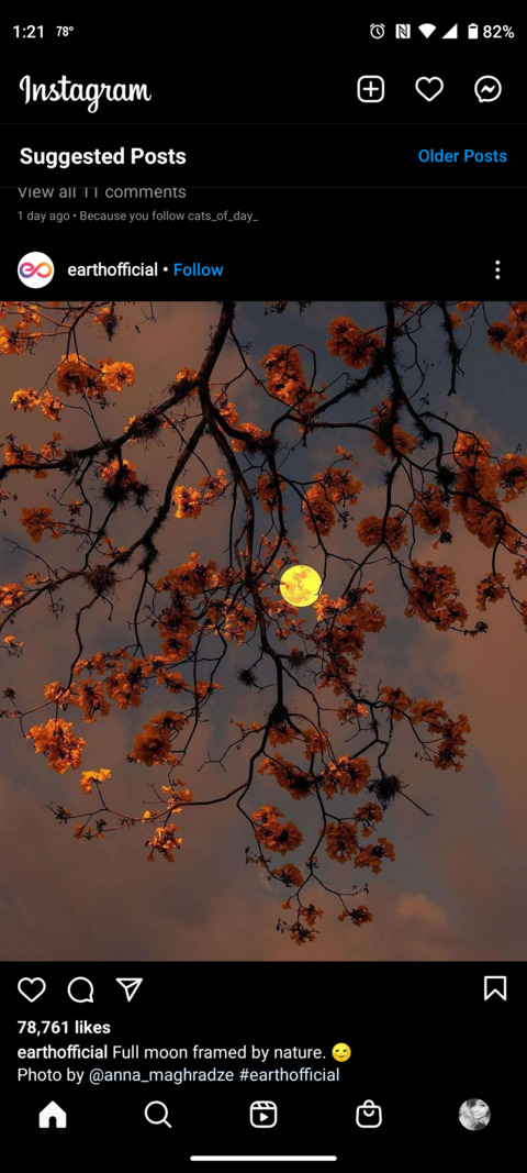 Header of u150919496