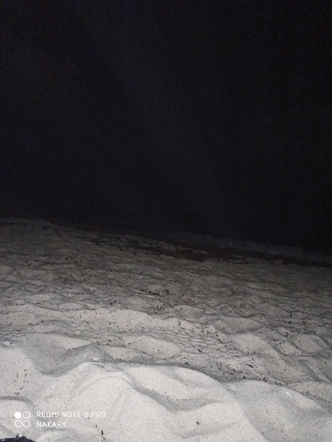 Header of u151469918