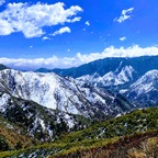 u84695003 profile picture