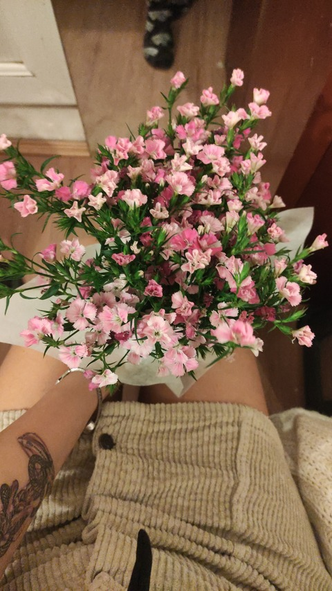 Header of veganravioli