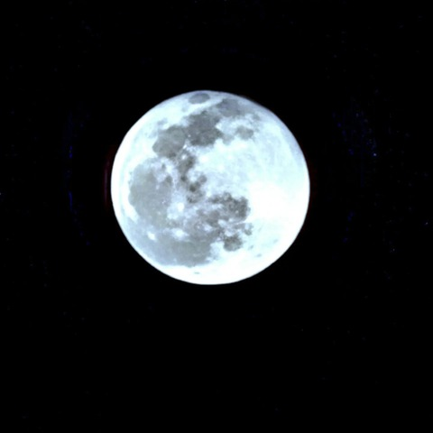 Header of viic_jj2017