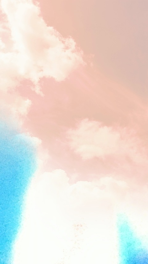 Header of viola.ti.da