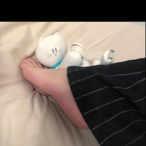 Header of white_dolphin