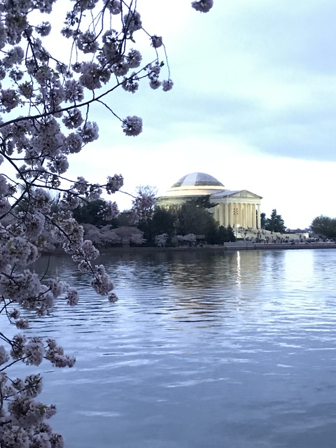 Header of wokewonderwoman