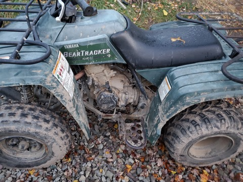 Header of wolf-king92