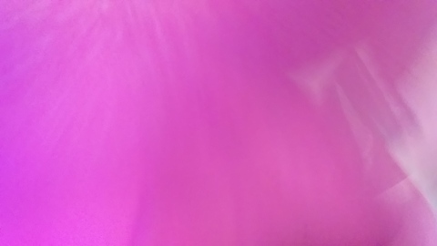 Header of yasminpretty