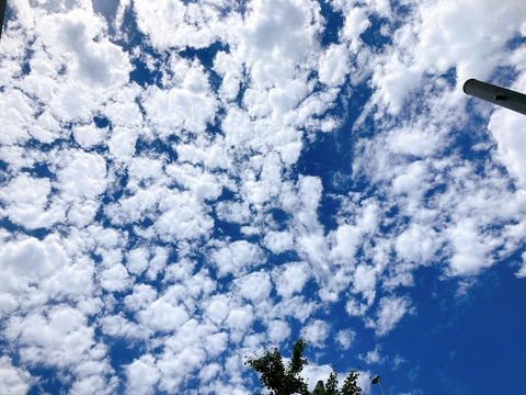 Header of yuewaytobesexy